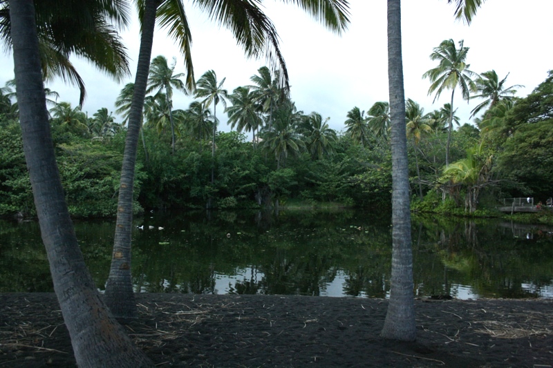 photo of brackish pond at black sand beach
